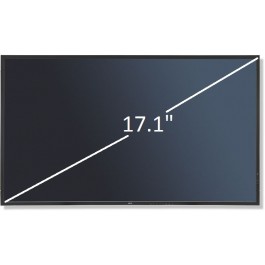 Display 17.1" LG