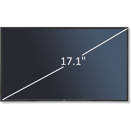 Display 17.1" LG