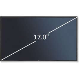 Display 17.0" Optronics Recondicionado