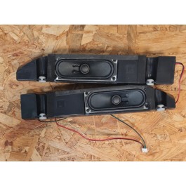 Colunas TV Samsung LE40A616A3F Recondicionado Ref: BN96-06809B