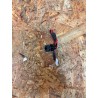 Conector de Carga Toshiba Satellite X200-1AA Recondicionado