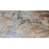 Flex Webcam Sony Vaio PCG-395P Recondicionado Ref: 073-0001-2851