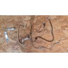 Kit Cabos TV Samsung LE32R51B Recondicionado