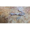 Kit de Cabos TV Silver IP-LE411061 Recondicionado