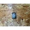 Buzzer / Altavoz Samsung A34 5G / Samsung A346 Recondicionado