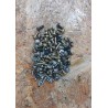 Kit Parafusos Thomson 32LB030B5 Recondicionado