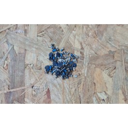 Kit de Parafusos Sony PCG-7181M Recondicionado