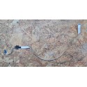 Flat Cable HP EliteDisplay E221c Recondicionado