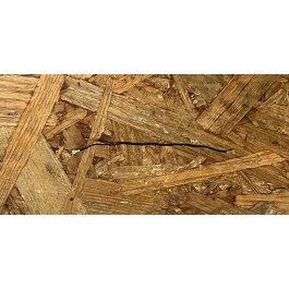 Antena Coaxial Asus Zenfone ZE520KL / Asus Zenfone 3 Recondicionado