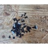 Kit Parafusos TV Jetwing JWG-D32S01 Recondicionado
