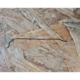 Antena Coaxial Asus Zenfone 4 Selfie Pro ZD552KL / Asus Z01MD Recondicionado