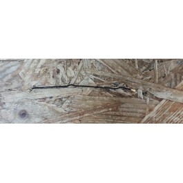 Antena Coaxial NOS Novu II / ZTE Blade L5 Plus Recondicionado