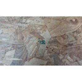 Kit de Parafusos Xiaomi Redmi Note 11 / Xiaomi 2201117TY Recondicionado