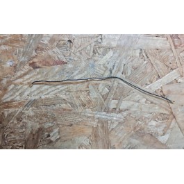 Antena Coaxial NOS Novu III / Zte Blade A520 Recondicionado