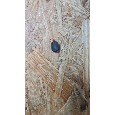 Buzzer Alta / Voz Vodafone Smart Grand 6 / Vodafone VF-696 Recondicionado