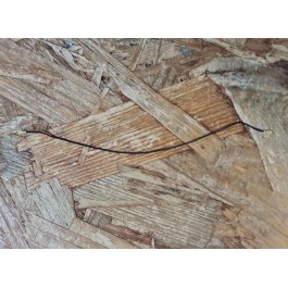Antena Coaxial Xiaomi Redmi Note 8T Recondicionado