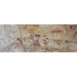 Sensor de Proximidade Xiaomi Redmi Note 9 Pro Recondicionado