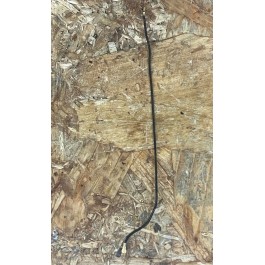 Antena Coaxial Vodafone Smart N10 / Vodafone VFD 630 Recondicionado
