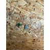 Microfone Motorola W5 Compativel