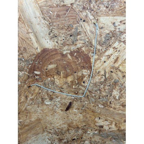 Antena Cabo Coaxial Samsung A20 / Samsung A205G Recondicionado