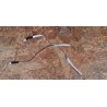 Kit Flat Cable Acer AT2326 Recondicionado