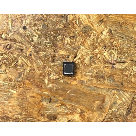 Buzzer / Altavoz Xiaomi Redmi 12C / Xiaomi 22126RN91Y Recondicionado