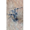 Kit Cabos Sony KDL-40S2530 Recondicionado